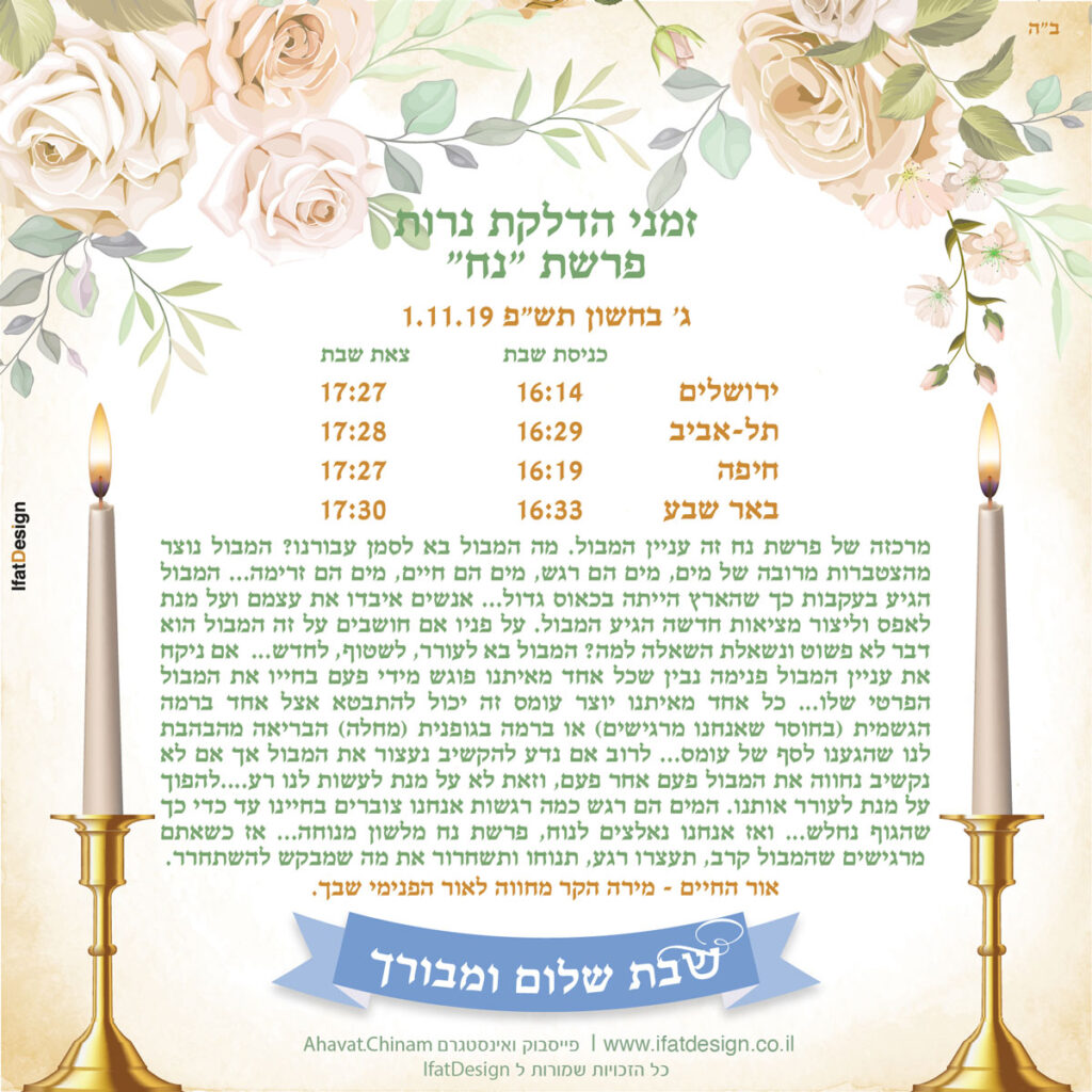 תובנה מוארת - פרשת נח