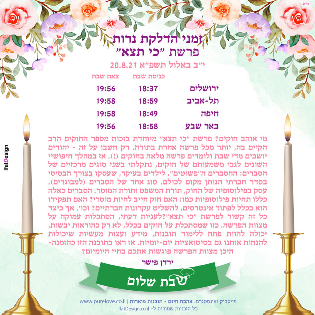 תובנה מוארת - פרשת כי תצא