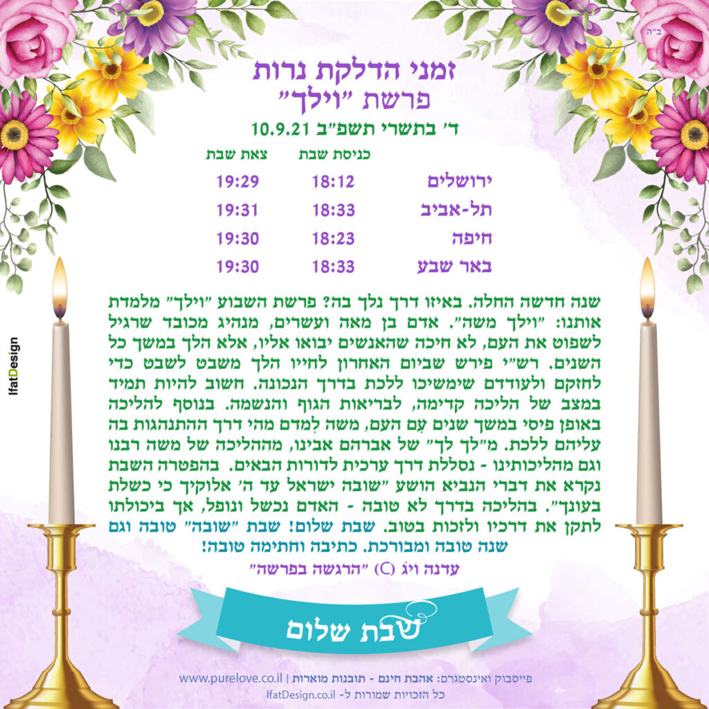 תובנה מוארת- פרשת וילך - עדנה ויג