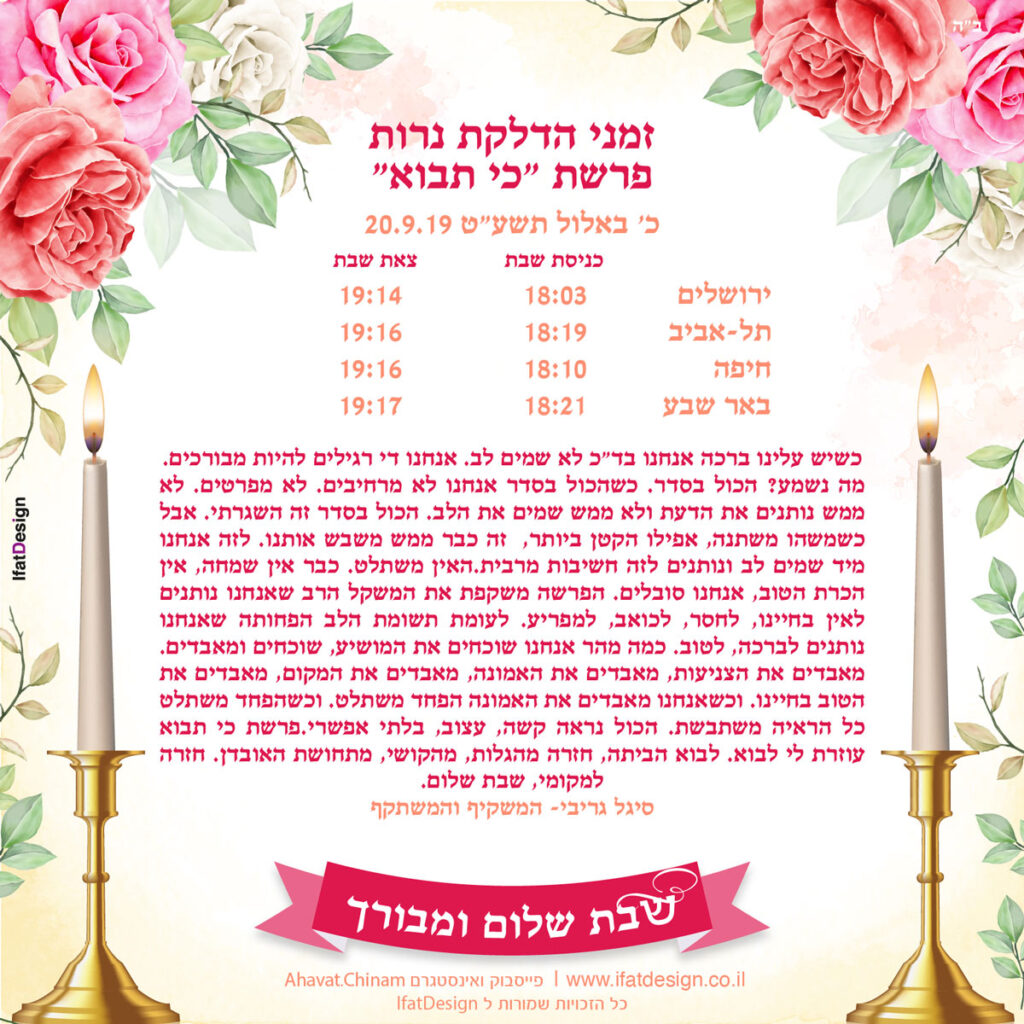 תובנה מוארת - פרשת כי תבוא