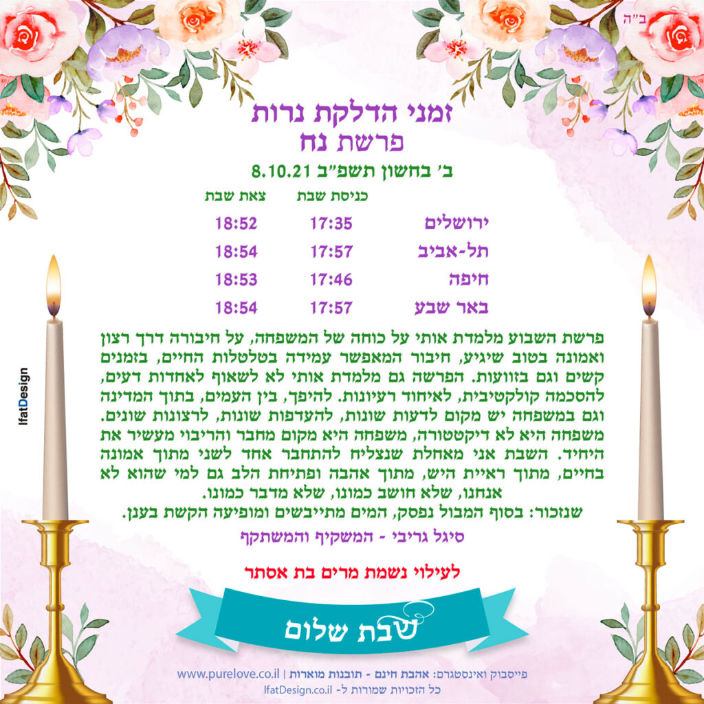 תובנה מוארת - פרשת נח