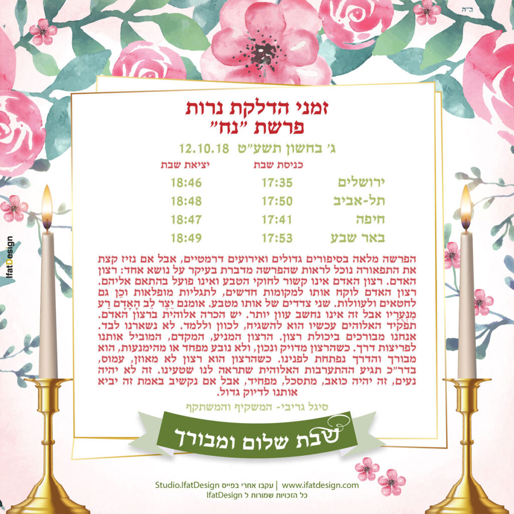 תובנה מוארת - פרשת נח
