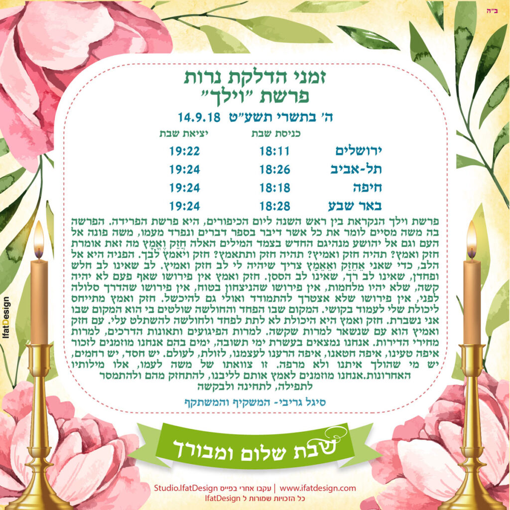 תובנה מוארת - פרשת וילך
