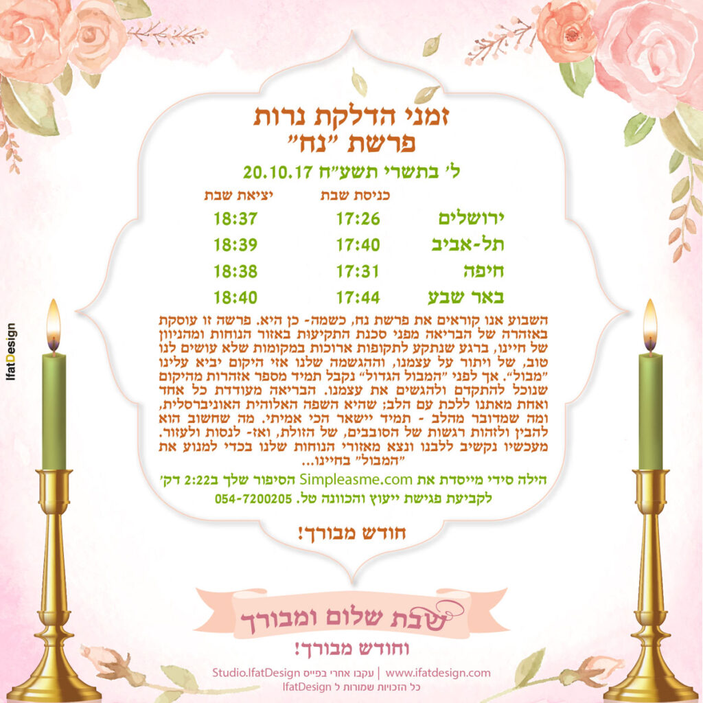 תובנה מוארת - פרשת נח