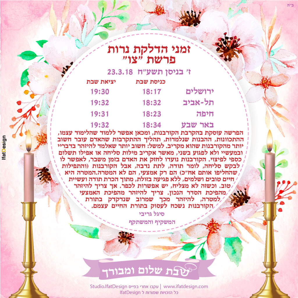 תובנה מוארת - פרשת צו