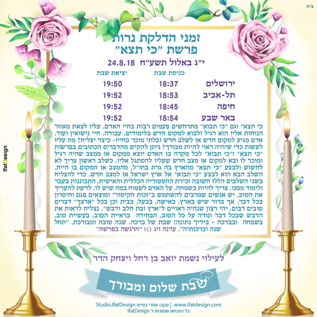תובנה מוארת - פרשת כי תצא