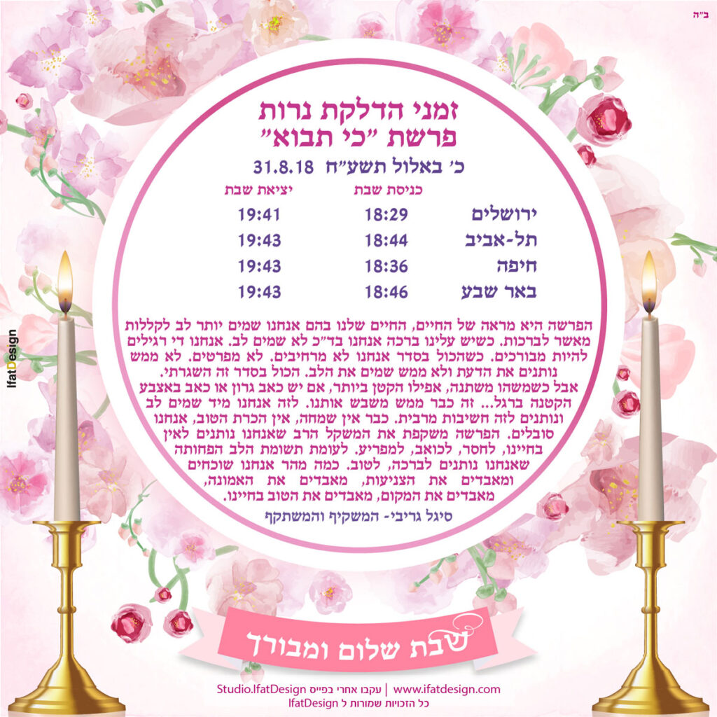 תובנה מוארת - פרשת כי תבוא