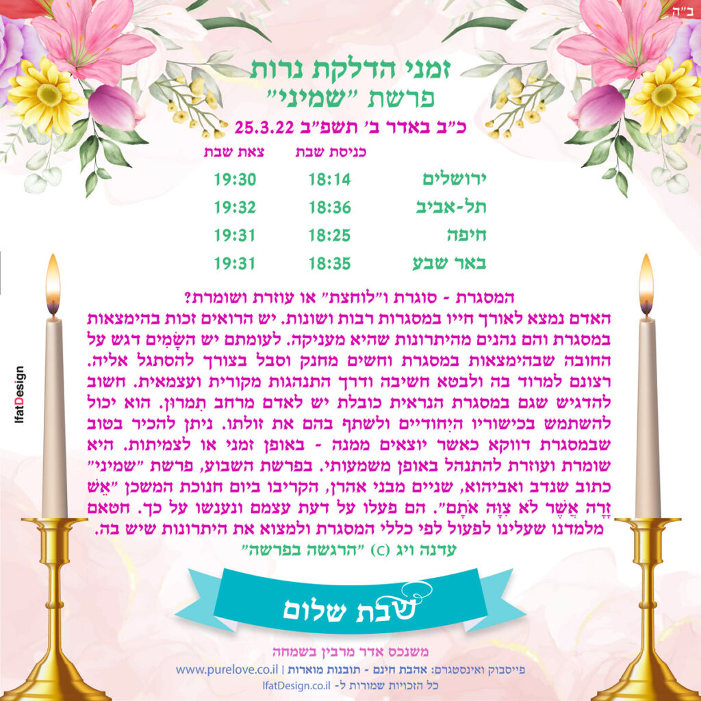 תובנה מוארת - פרשת שמיני