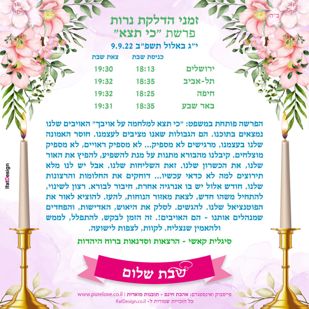 תובנה מוארת - פרשת כי תצא