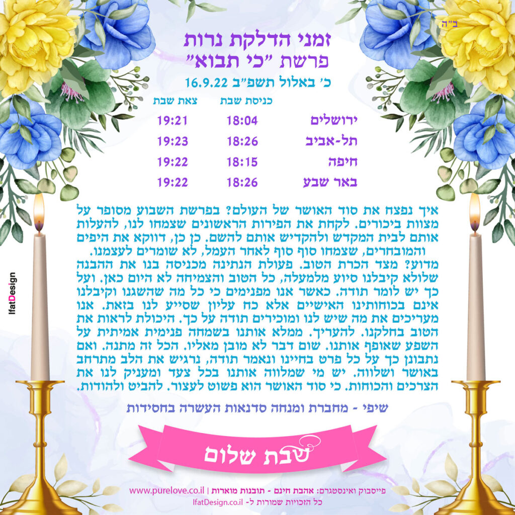 תובנה מוארת -פרשת כי תבוא