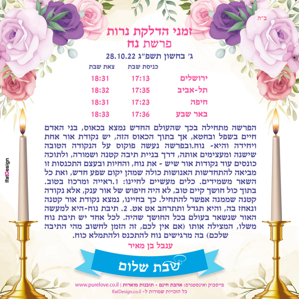 תובנה מוארת - פרשת נח - ענבל בן מאיר