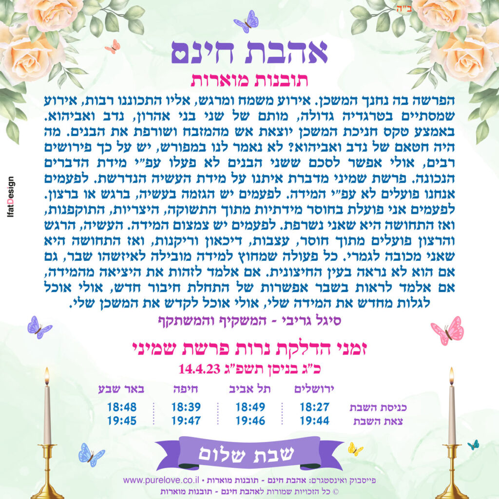 תובנה מוארת - פרשת שמיני - סיגל גריבי