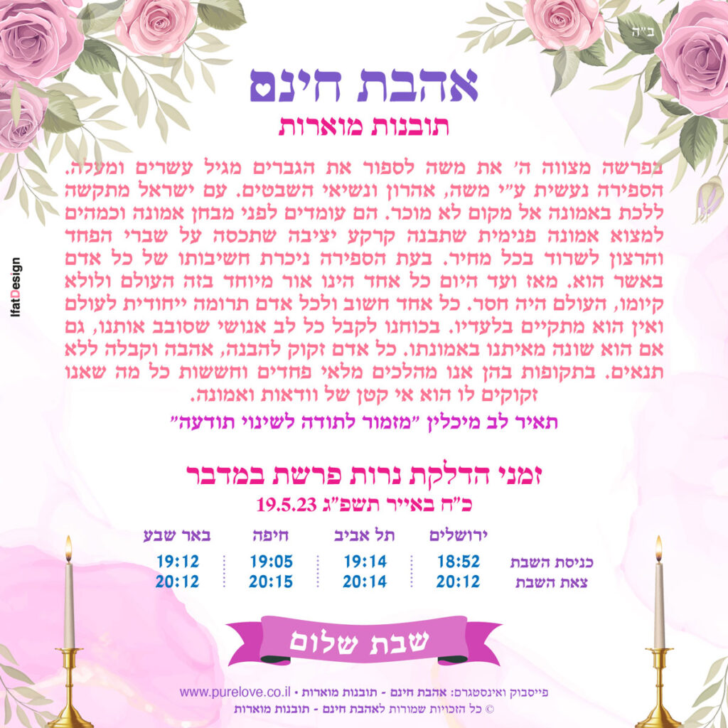תובנה מוארת - פרשת במדבר