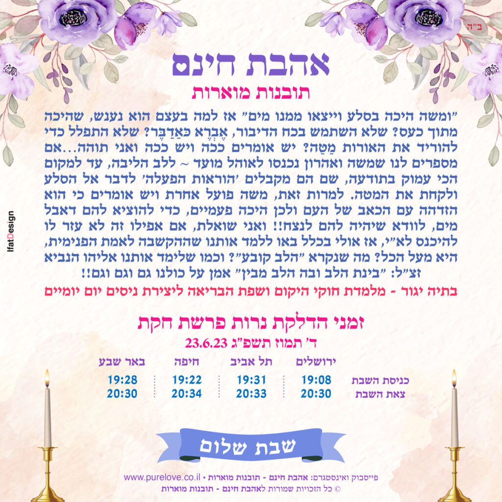 תובנה מוארת - פרשת חקת - בתיה יגור