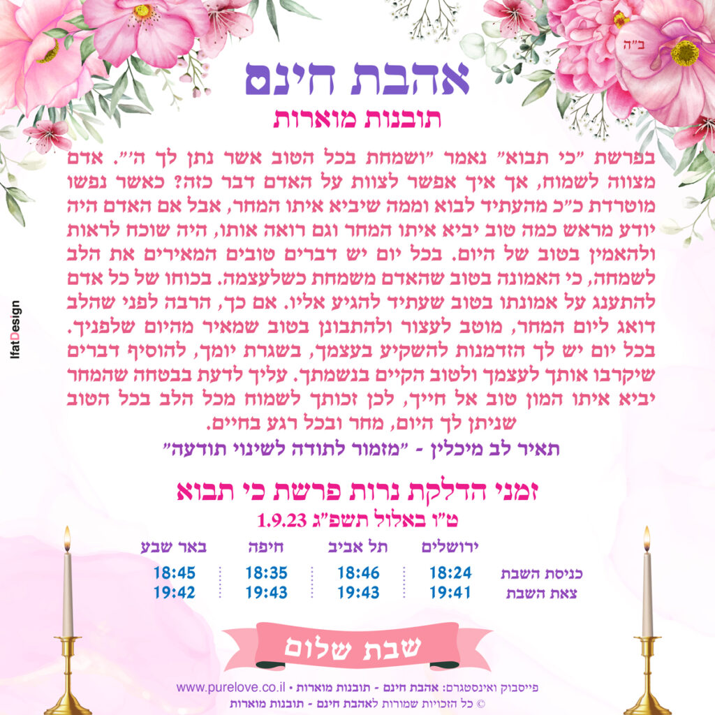 תובנה מוארת פרשת כי תבוא