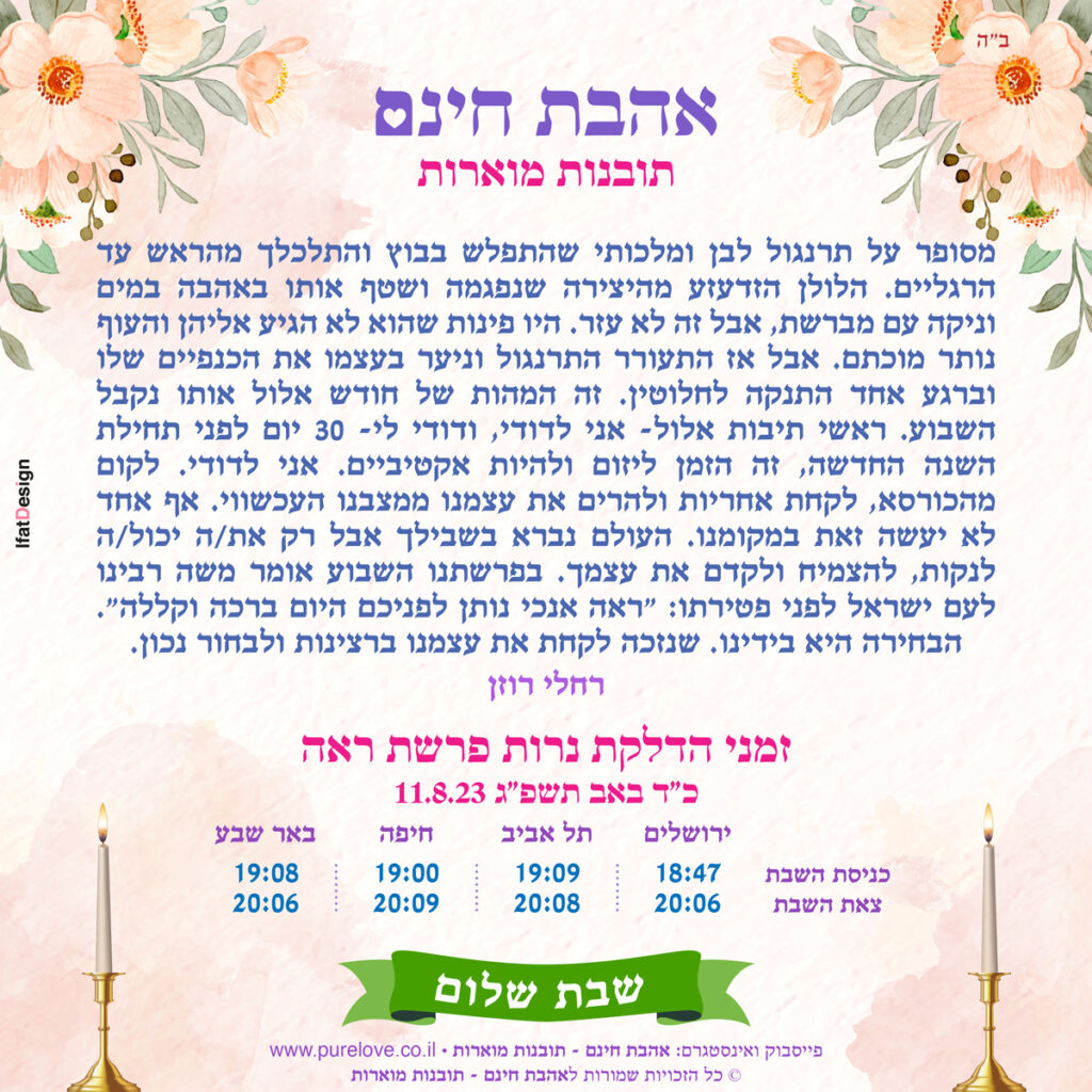 תובנה מוארת - פרשת ראה - רחלי רוזן