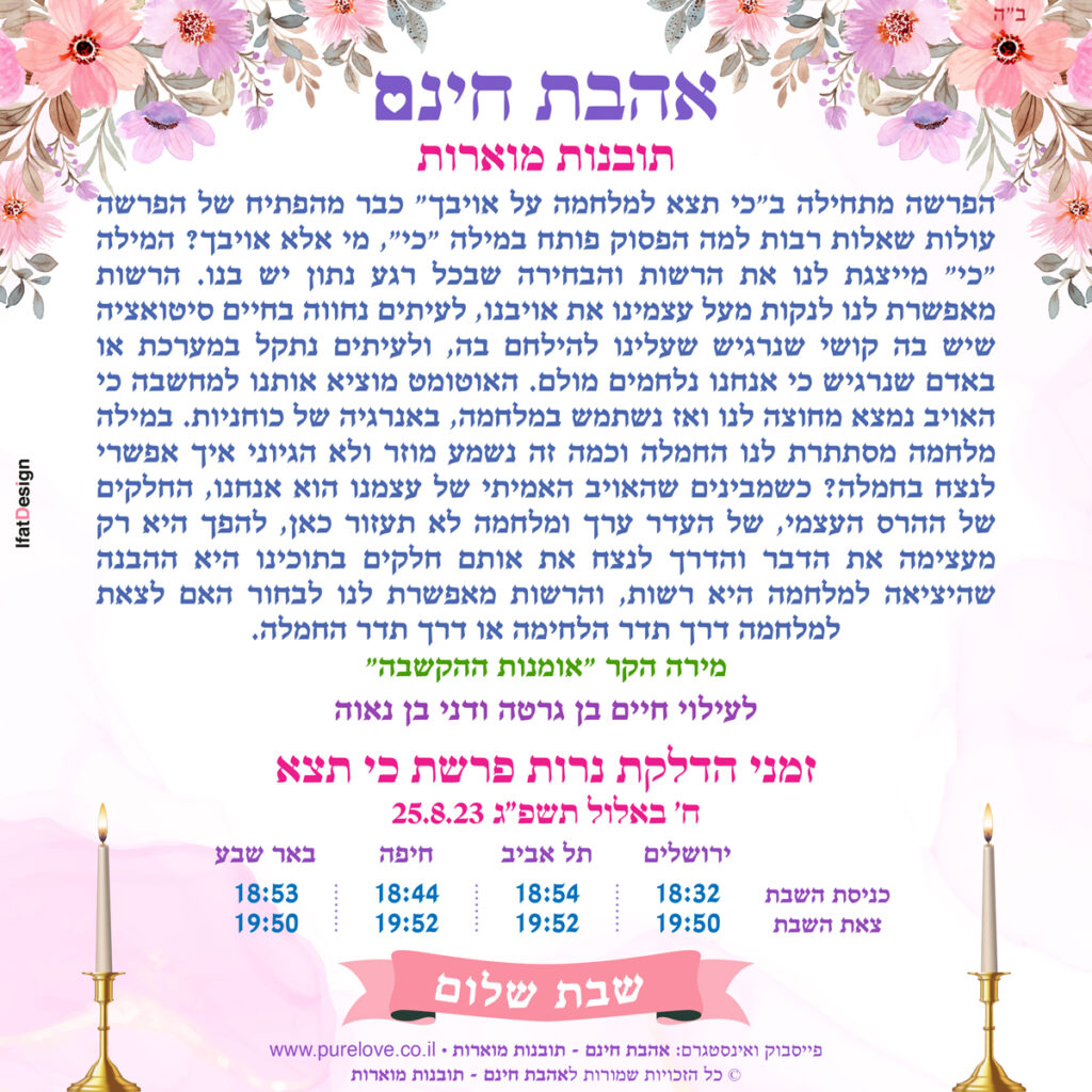 תובנה מוארת פרשת כי תצא