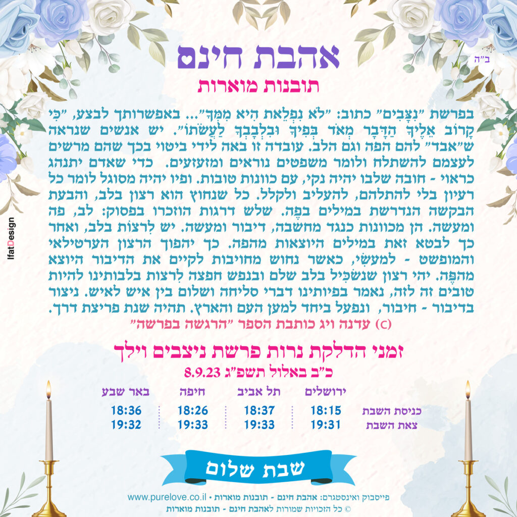 תובנה מוארת - פרשת ניצבים וילך