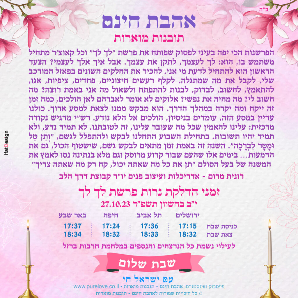 תובנה מוארת - פרשת לך לך - רונית מרום
