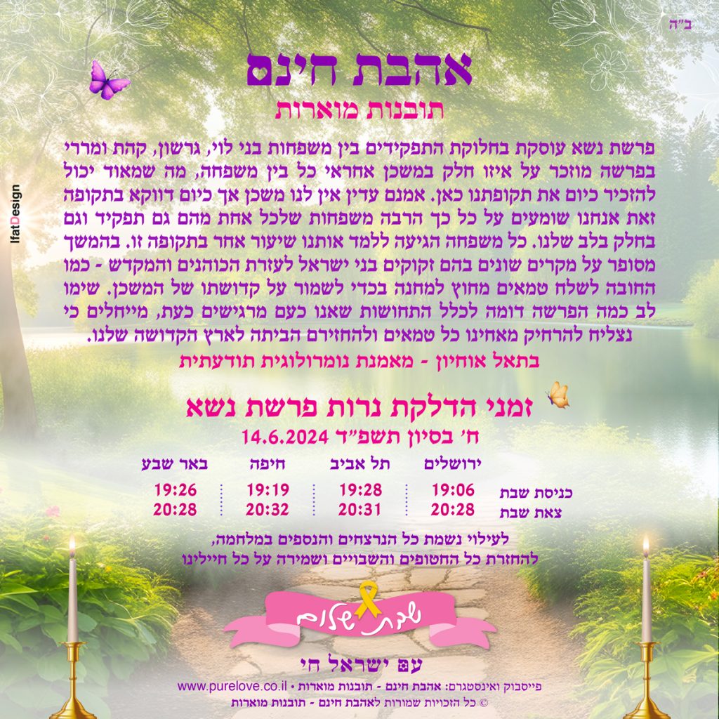 תובנה מוארת - פרשת נשא
