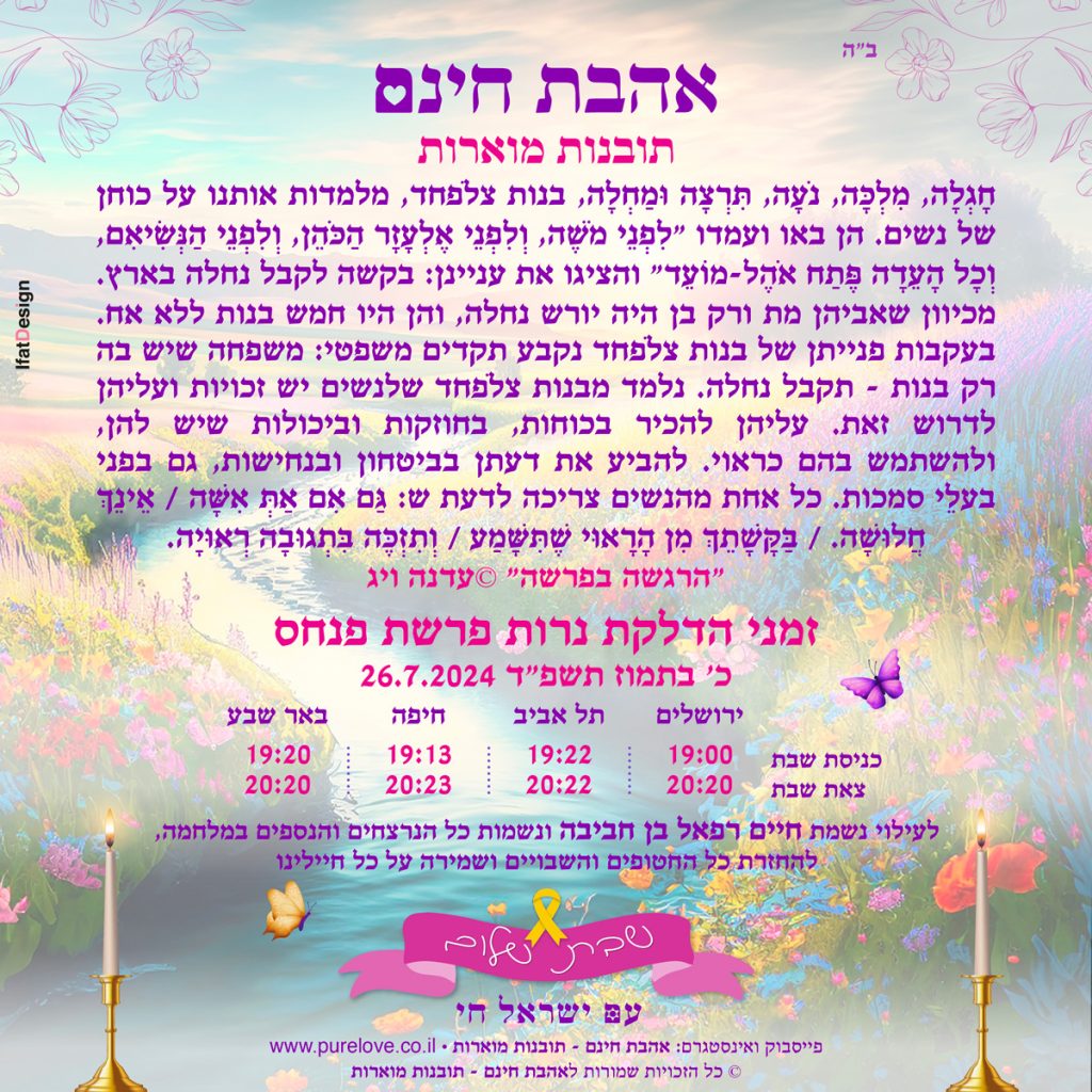 תובנה מוארת - פרשת פנחס - עדנה ויג
