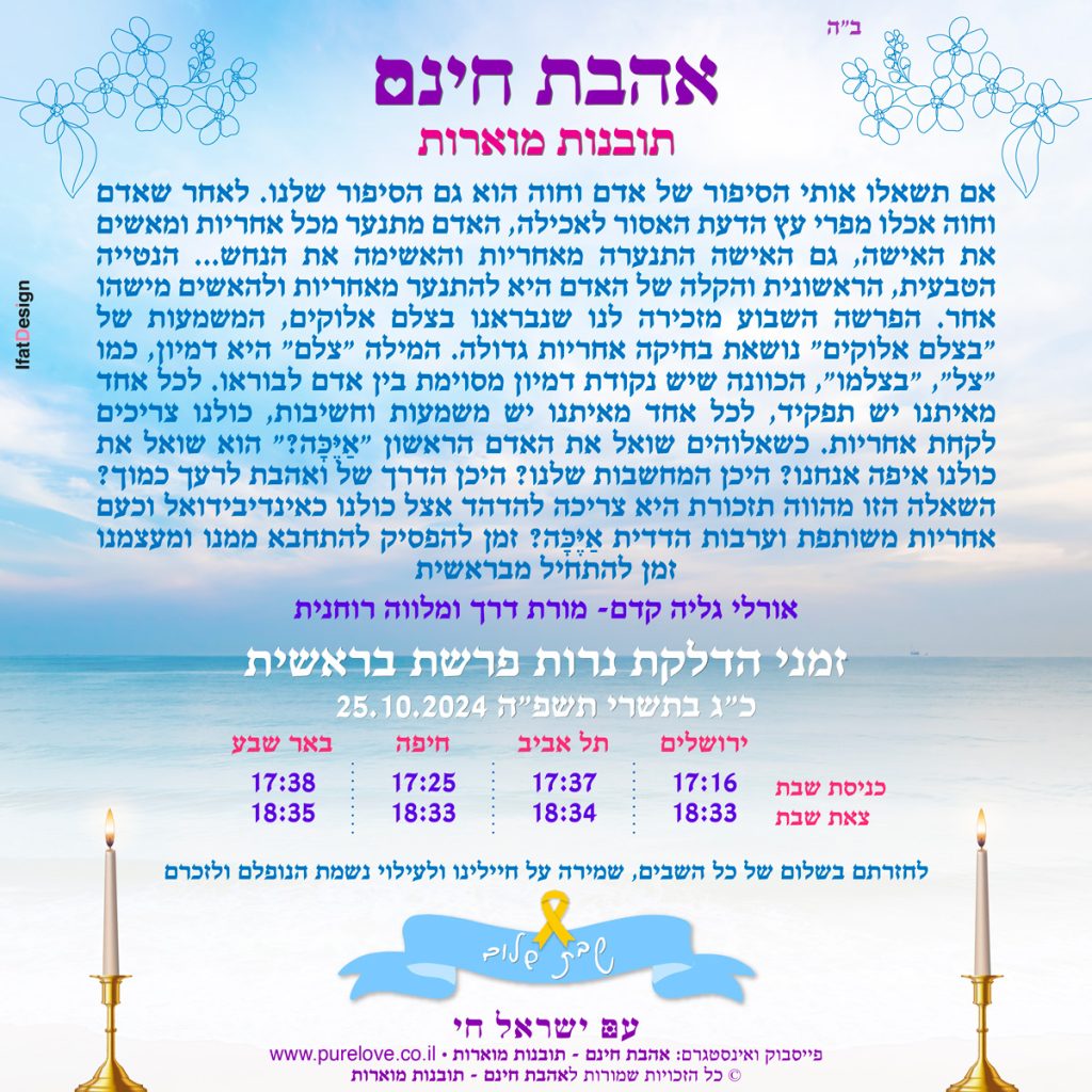 תובנה מוארת - פרשת בראשית