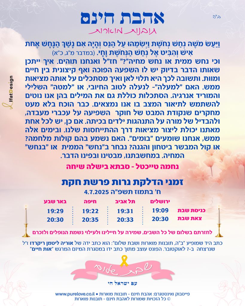 תובנה מוארת - פרשת חקת - נחמה טייכטל