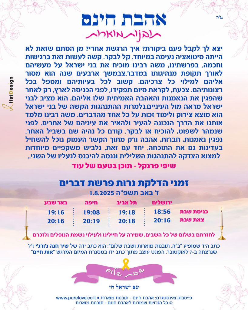 תובנה מוארת - פרשת דברים