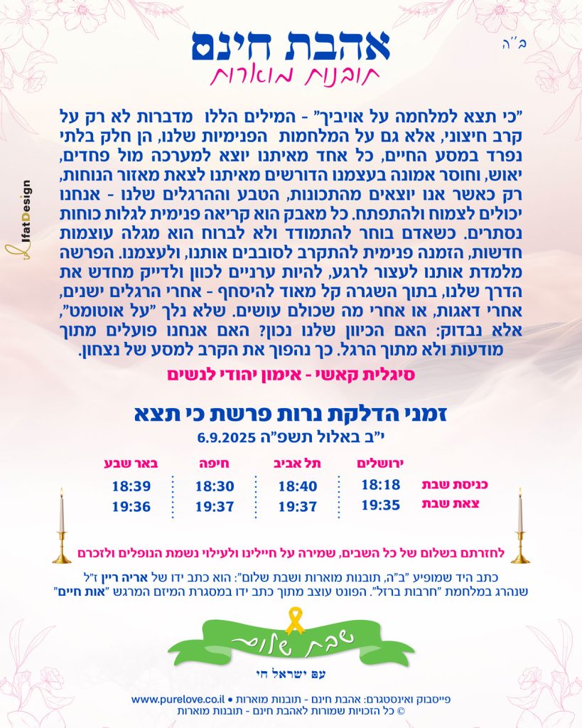 תובנה מוארת - פרשת כי תצא