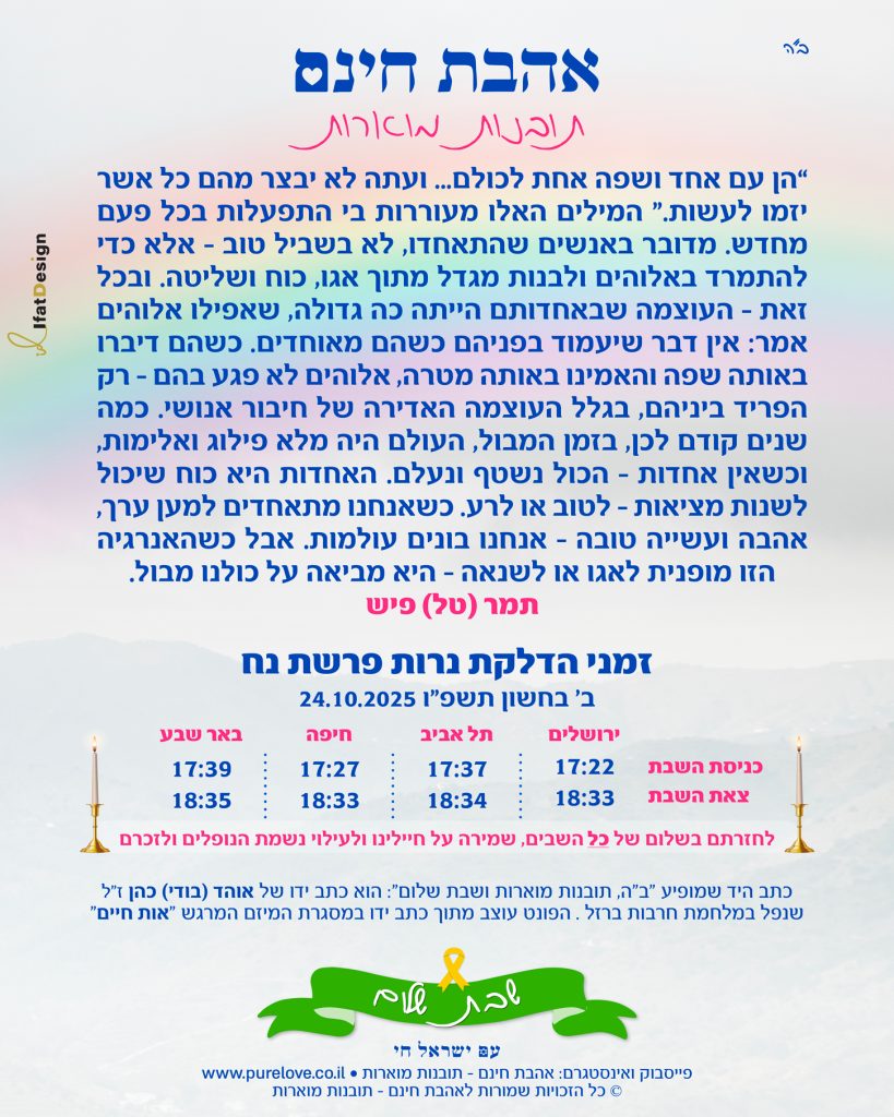 תובנה מוארת - פרשת נח