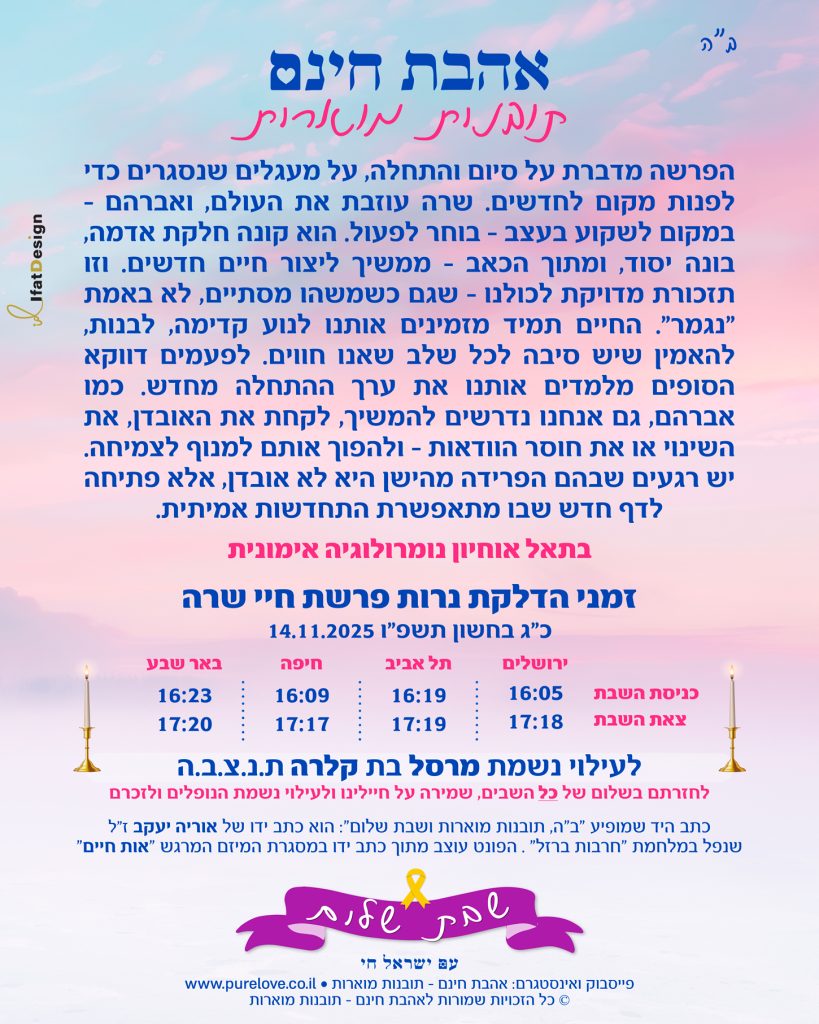 תובנה מוארת - פרשת חיי שרה