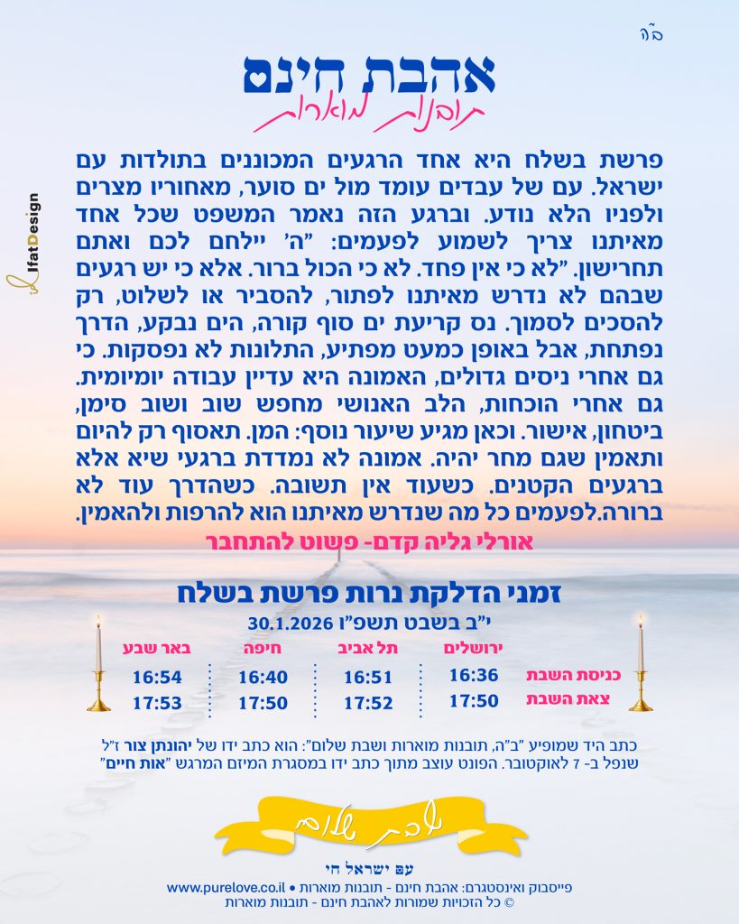 תובנה מוארת - פרשת בשלח